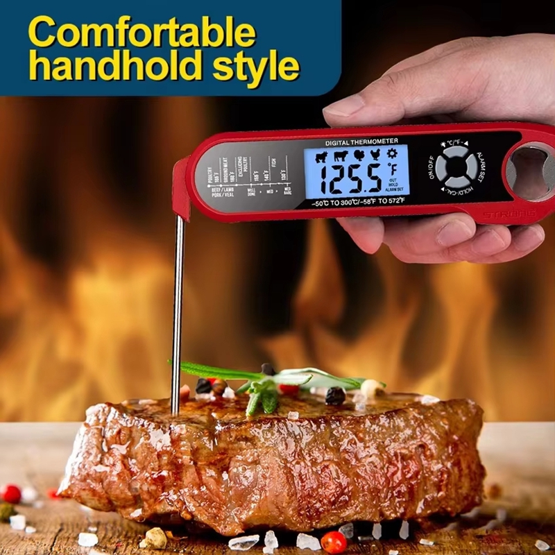 Fleischthermometer mit zwei So – Digital Thermometer Probe Bewertung und Preis